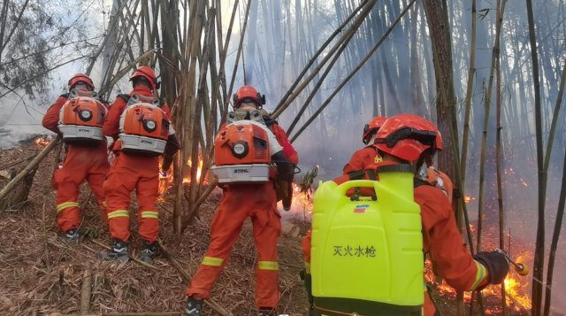 云南省森林消防总队已派出736名指战员增援重庆火场（供图）