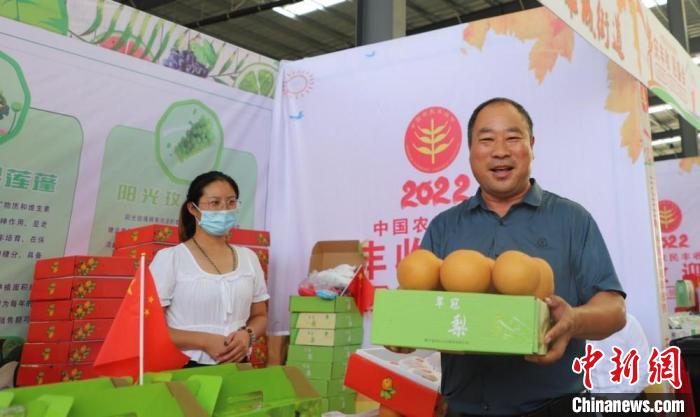 江苏睢宁:大“丰”歌里好“丰”景