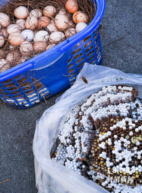 德宏菜市场(开屏新闻记者 马楠 通讯员 胡佩灵 杨晓玲 摄)