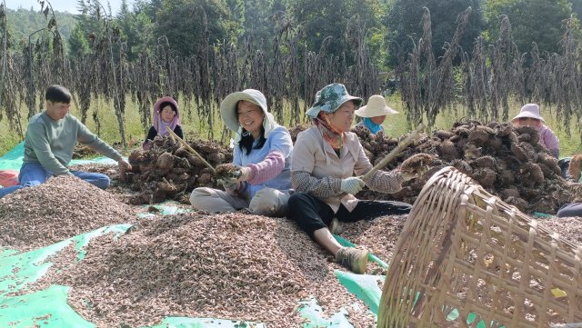 玉溪玉山城丰收(13).jpg