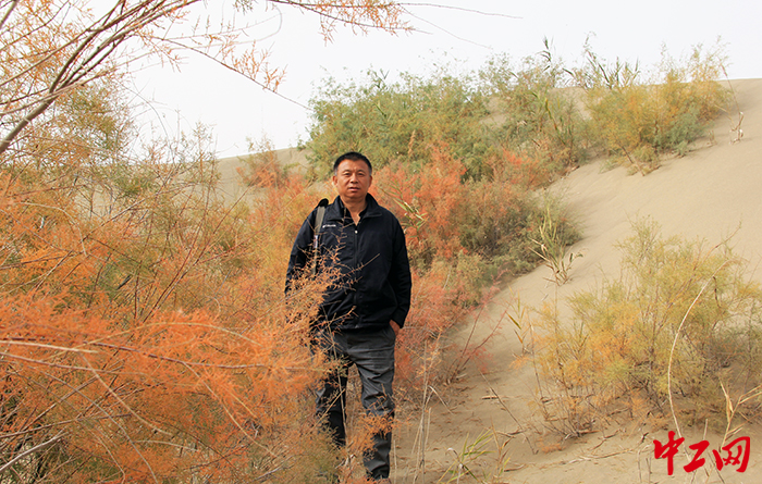 穿行在红柳林中开始一天的征程 穿行在红柳林中开始一天的征程