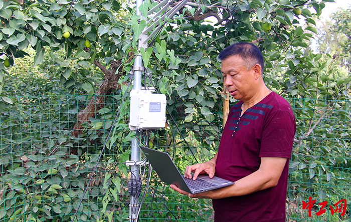 下载自动气候工作站数据 下载自动气候工作站数据