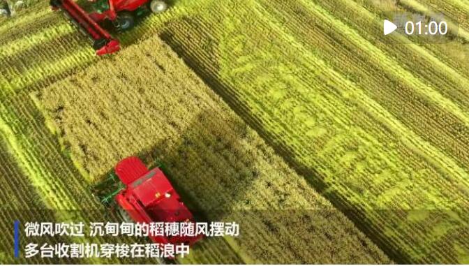 QQ截图20221004101333