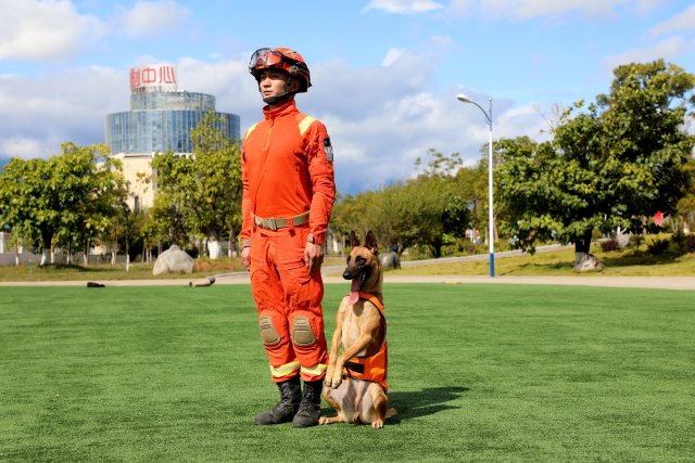 图为训导员何锦标和搜救犬奶酪在等待训练指令 陈胜瑶.JPG