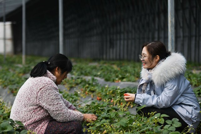 新华社记者 摄