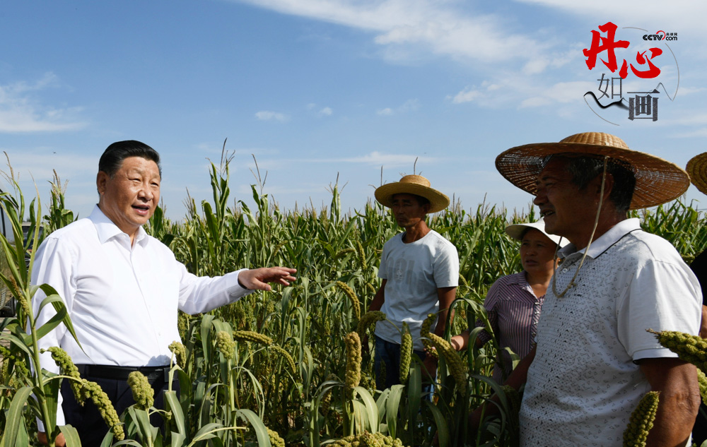 2021年9月13日，习近平总书记在陕西省榆林市米脂县银州街道高西沟村临时下车，察看粮食作物长势，同正在田间劳作的老乡拉家常。