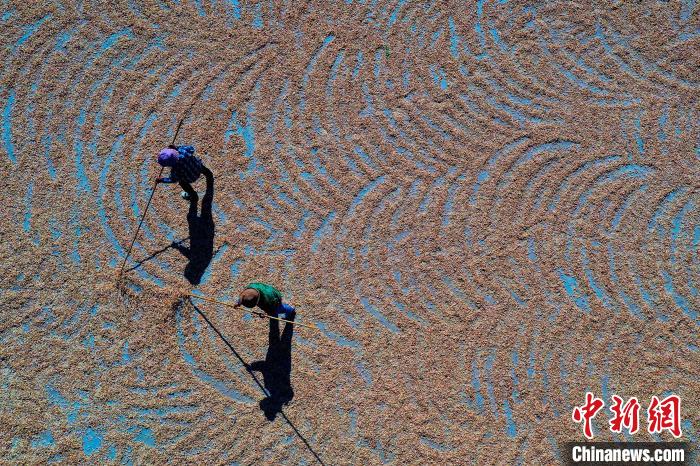 为延长海货销售链和保质期,渔民们将适合风干保存的海货进行晾晒保存。(无人机照片) 于坤帅 摄 为延长海货销售链和保质期,渔民们将适合风干保存的海货进行晾晒保存。(无人机照片) 于坤帅 摄