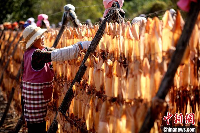 渔民将鱿鱼风干保存,延长海货保质期。 宋年升 摄 渔民将鱿鱼风干保存,延长海货保质期。 宋年升 摄