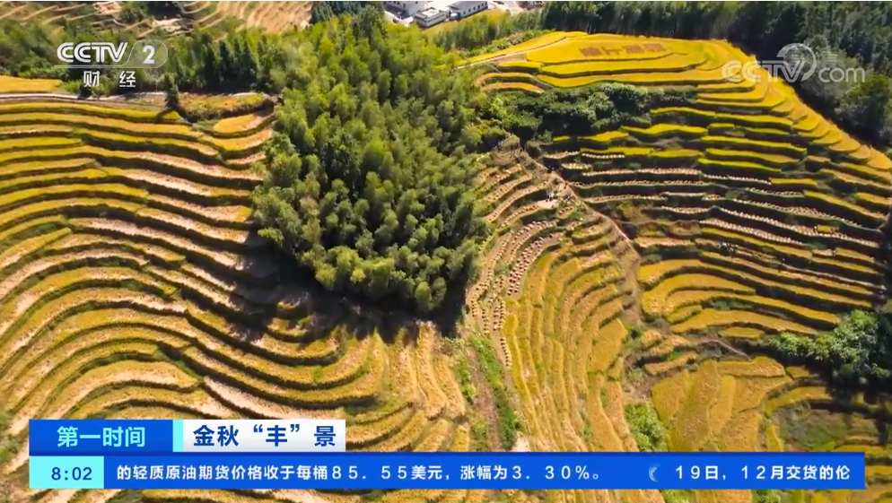 点击观看视频 点击观看视频