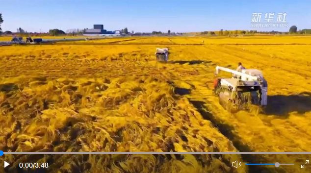 微信截图_20221020203927