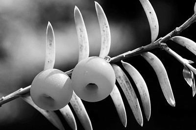 霜降:繁霜起处米谷满仓 霜降:繁霜起处米谷满仓