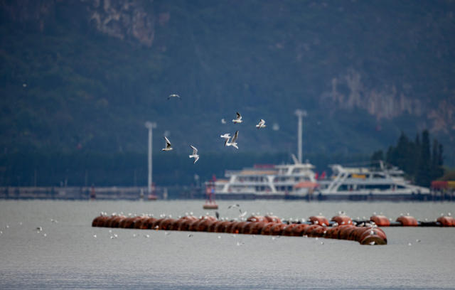 图源：都市时报