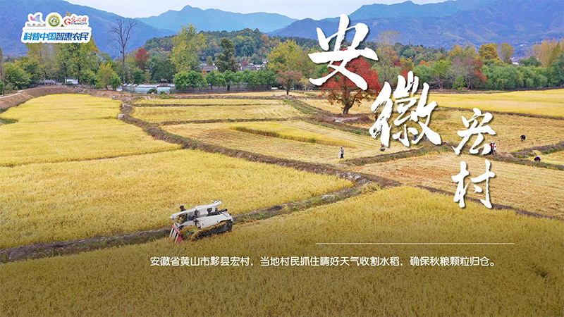 粮田绘“丰”景 | 颗粒归仓!全国秋粮收获超11亿亩 粮田绘“丰”景 | 颗粒归仓!全国秋粮收获超11亿亩