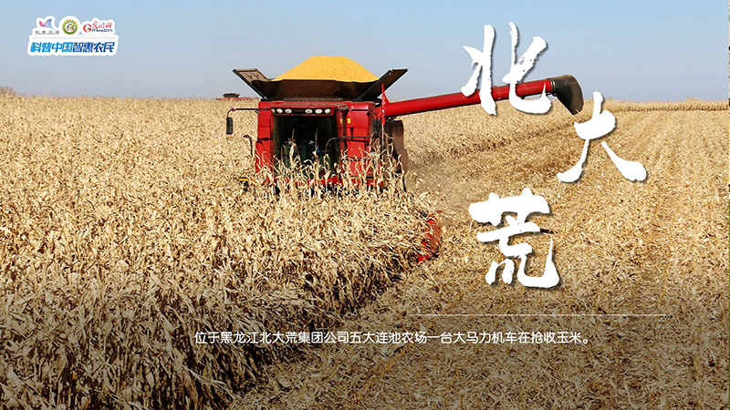粮田绘“丰”景 | 颗粒归仓！全国秋粮收获超11亿亩