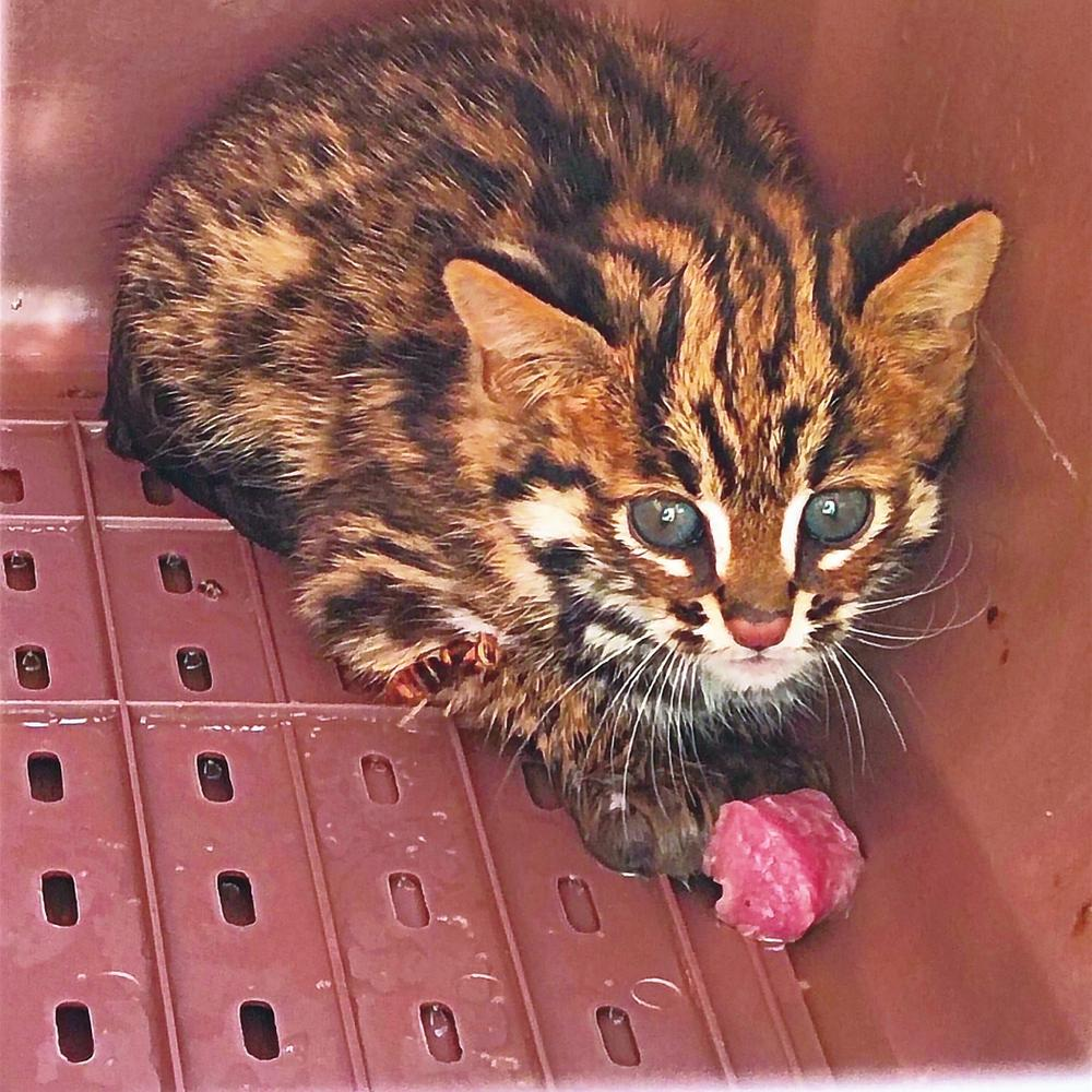 企业微信截图_16671808842674