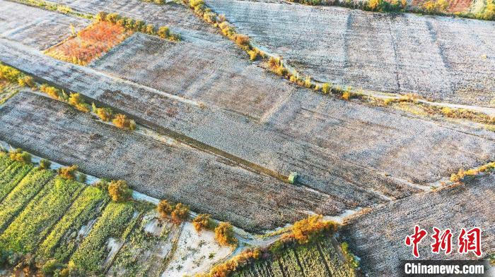 采棉机正在棉田里来回作业采收棉花。 李靖海 摄