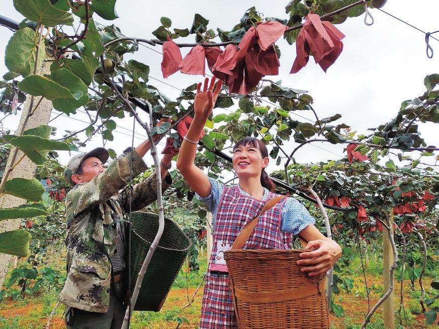 微信图片_20221104094258