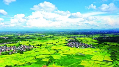 抱团聚力 让兴村富民火更旺