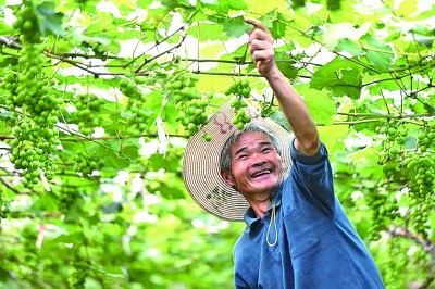 抱团聚力 让兴村富民火更旺