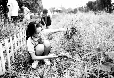跨学科学习怎么“跨” 让知识在情境中活起来 跨学科学习怎么“跨” 让知识在情境中活起来