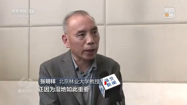 焦点访谈丨以法为盾 守护湿地
