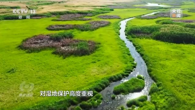 焦点访谈丨以法为盾 守护湿地