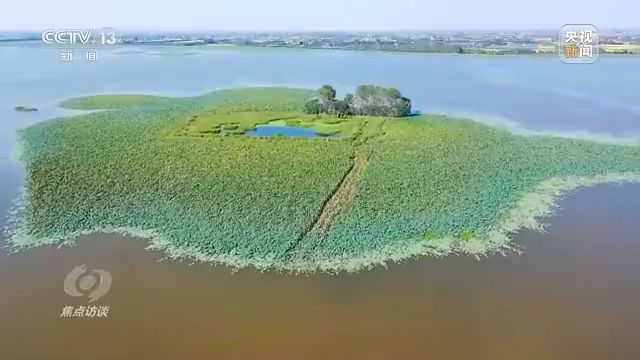 焦点访谈丨以法为盾 守护湿地