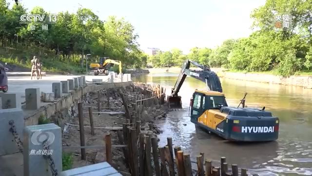 焦点访谈丨以法为盾 守护湿地