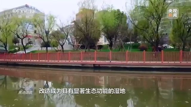 焦点访谈丨以法为盾 守护湿地