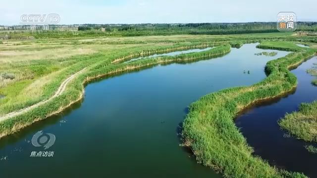 焦点访谈丨以法为盾 守护湿地