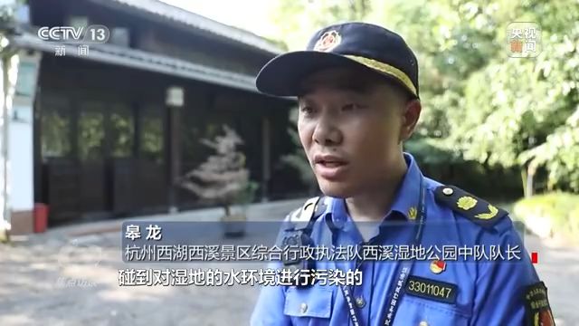 焦点访谈丨以法为盾 守护湿地