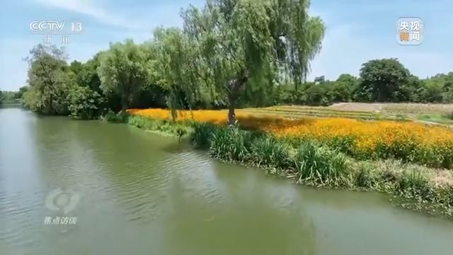 焦点访谈丨以法为盾 守护湿地