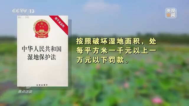 焦点访谈丨以法为盾 守护湿地