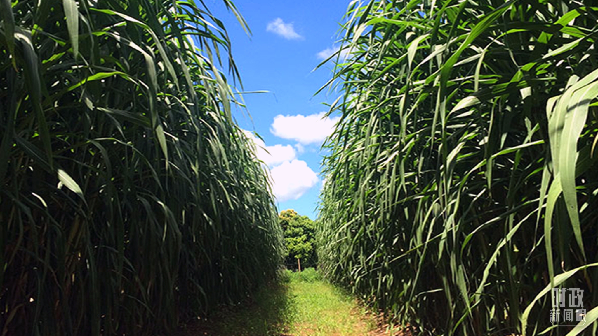 9b5ae7dfb5124c76b3c7159b4a5d004f 9b5ae7dfb5124c76b3c7159b4a5d004f