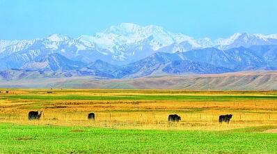 甘肃:青山作屏惠民生 甘肃:青山作屏惠民生