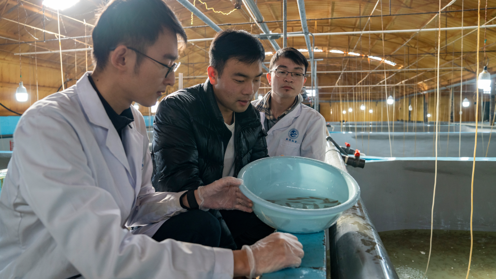 1129184748_16702266932191n