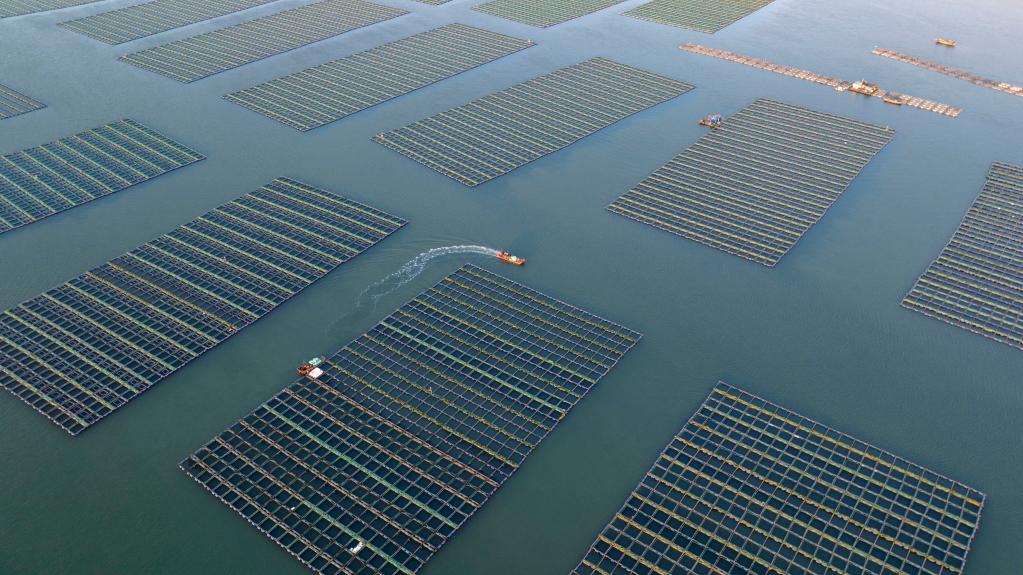 1129184748_16702267037141n