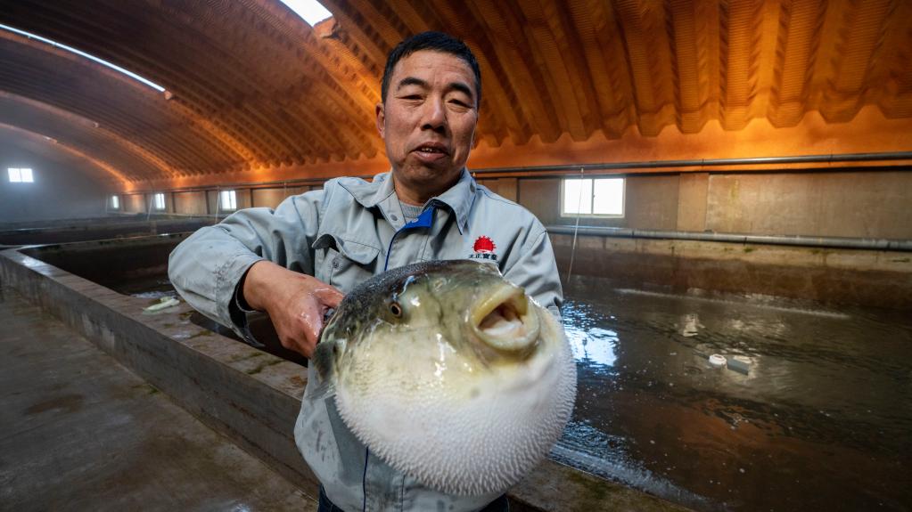 1129184748_16702267121841n