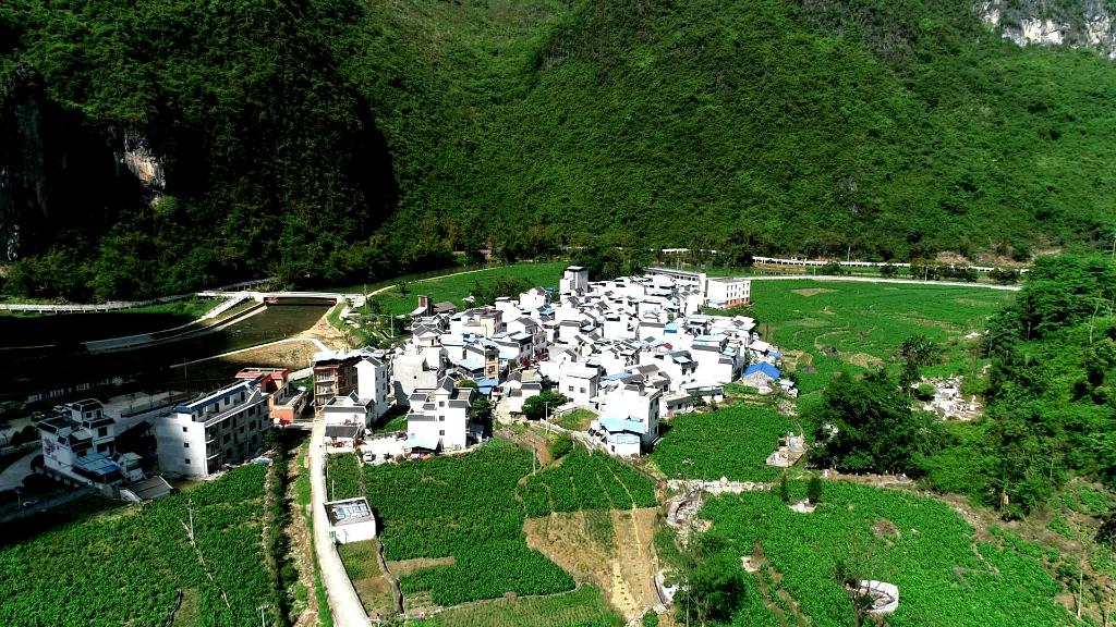 1129185241_16702355618501n