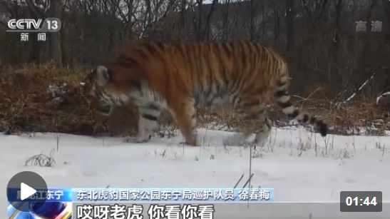 企业微信截图_1670553827787