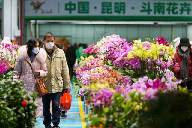 云南昆明：春节临近 鲜花俏销1.jpg