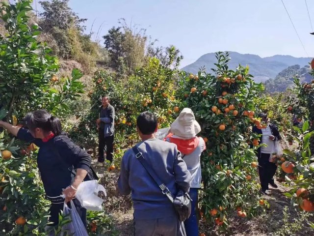 微信图片_20230103143141.jpg