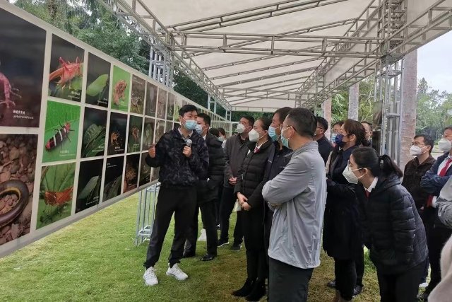 景区供图.jpg