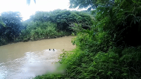 惊险追捕、护人护象,这是他们的戍边生活