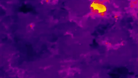 惊险追捕、护人护象,这是他们的戍边生活