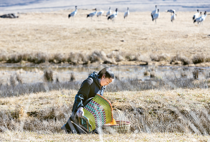 1129282913_16736640103761n