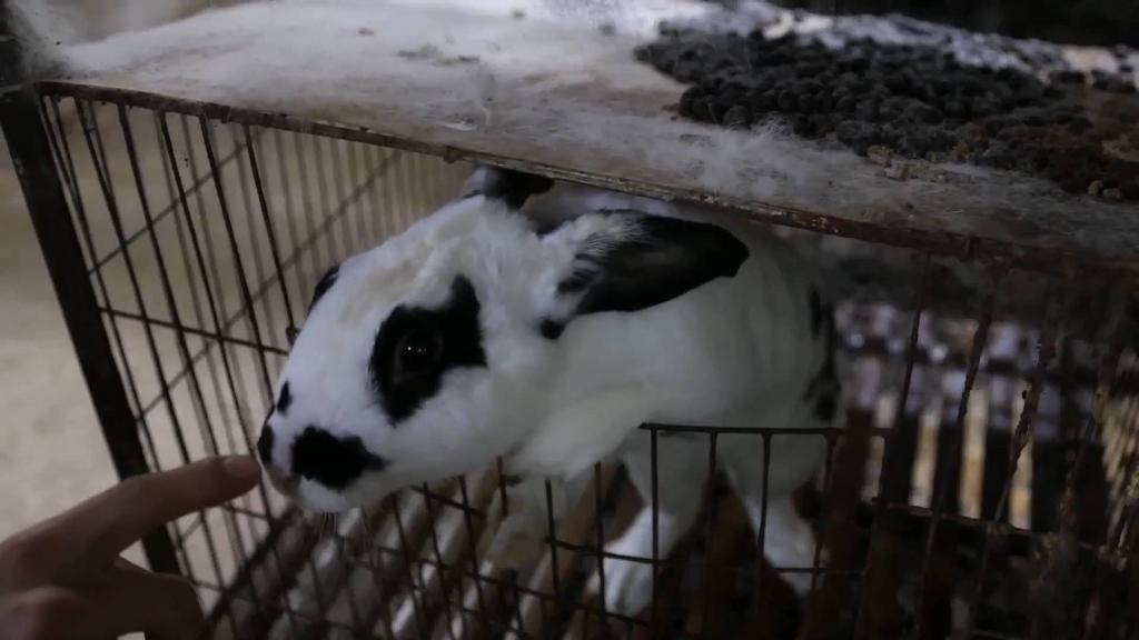 1129298152_16740439537121n