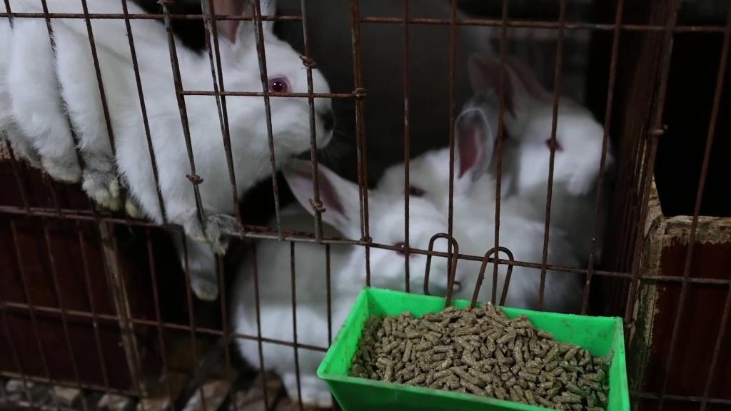 1129298152_16740439537141n