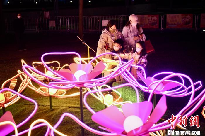 金钟添马公园的奇幻花海贺年装饰。　李志华 摄