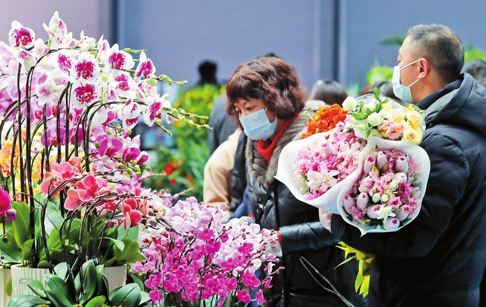 昆明市斗南花市节日鲜花热销，蝴蝶兰、大花蕙兰、银柳、节庆装饰花等受青睐。本报记者 杨峥 摄